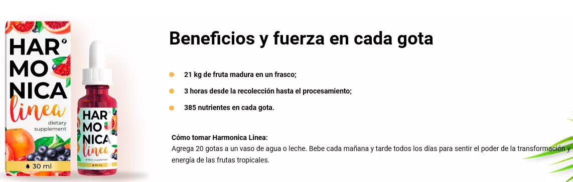 como tocar armónica